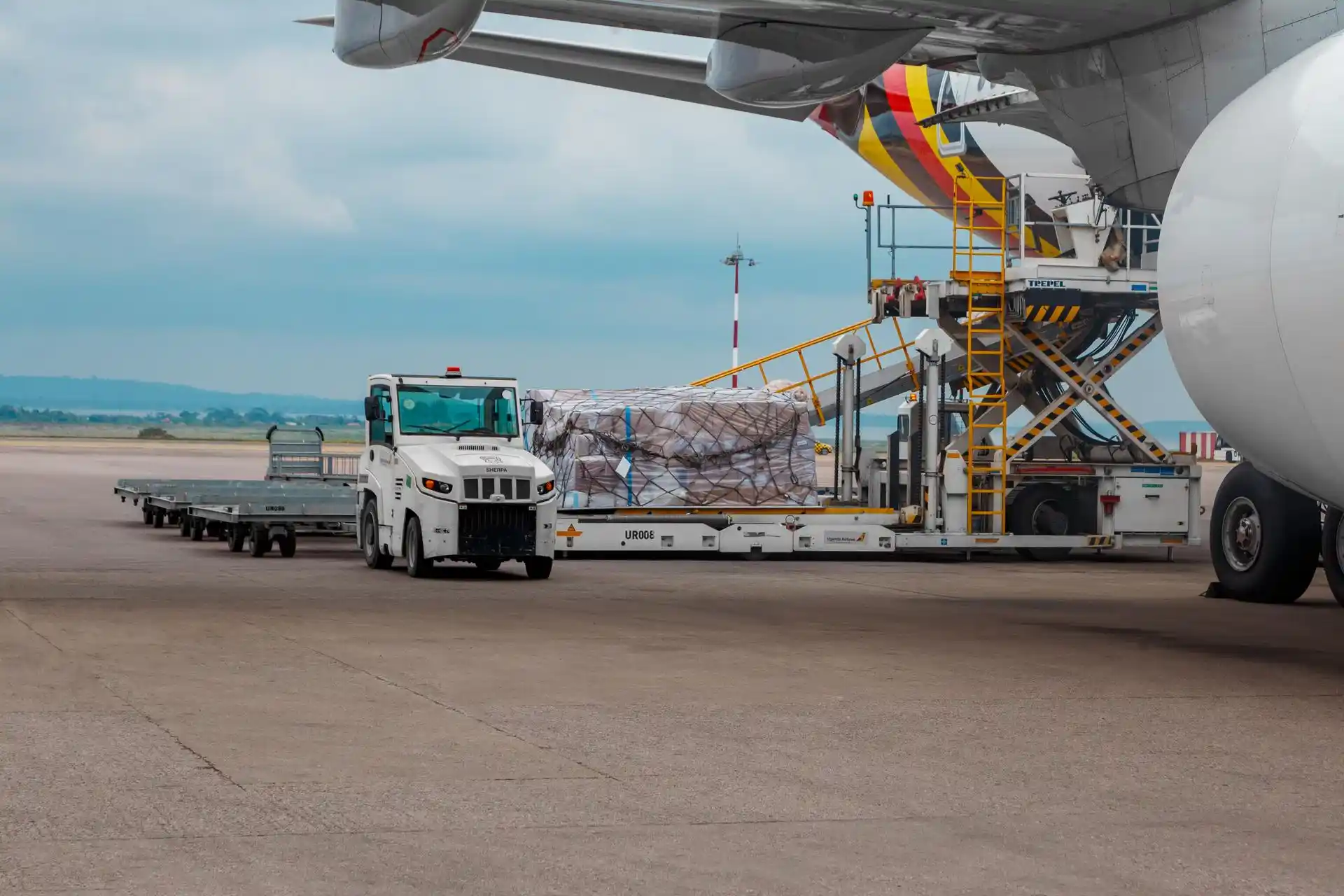 general-ur-cargo-fruits